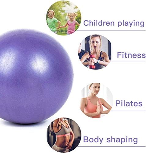 Mini Pilates 6 inch Exercise Ball for Yoga,Small Pilates Core Training and Physical Therapy, Improves Balance Home & Gym & Office with Pump(Pink) - Image 3