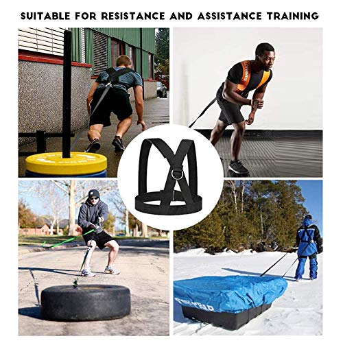Sled Harness, Weight Speed Tire Pulling Workout Resistance and Assistance Trainer Physical Training Rope Football Exercise Equipment for Outdoor Indoor Men and Women - Image 7
