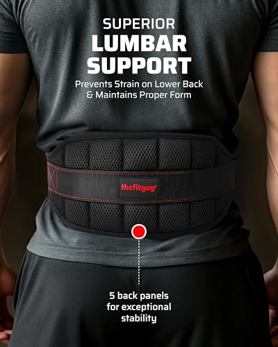 Ultimate Belt for Belt Squats, Rack Attachment and Squat Machine, Structured Back Support, Stays Low During Down Movement, Padded Hip & Thigh Area, Buckle Strap - No Sliding Down, Heavy Duty - Image 5