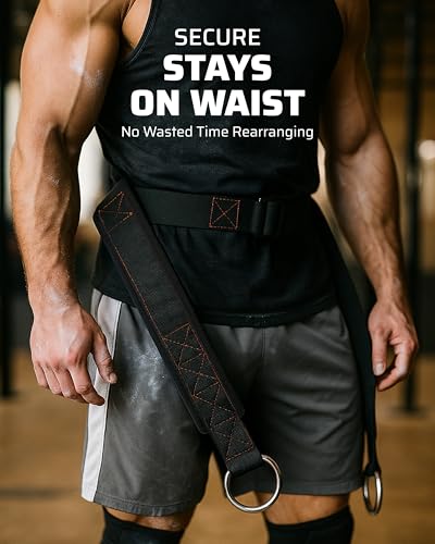 Ultimate Belt for Belt Squats, Rack Attachment and Squat Machine, Structured Back Support, Stays Low During Down Movement, Padded Hip & Thigh Area, Buckle Strap - No Sliding Down, Heavy Duty - Image 6